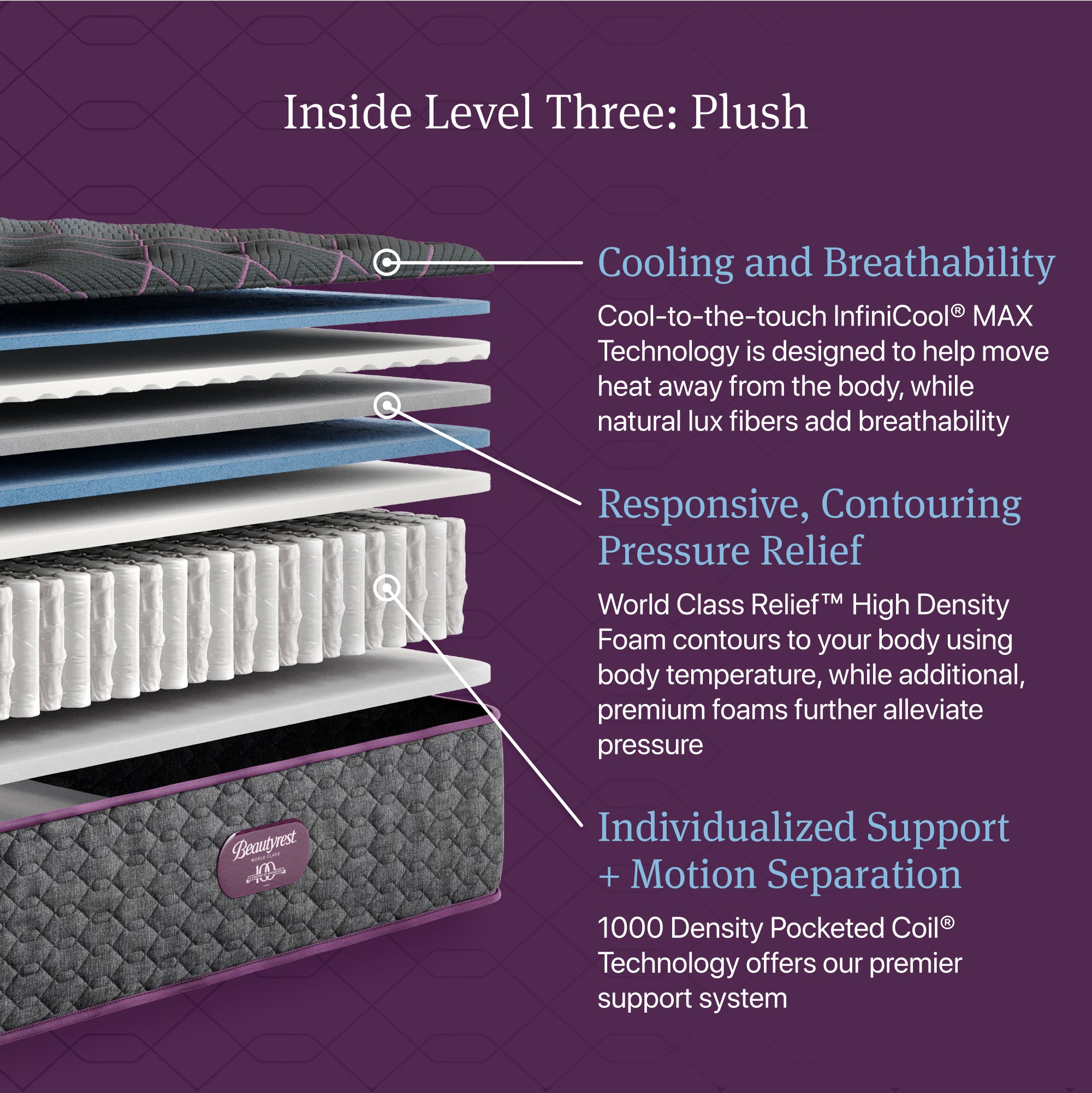 Beautyrest World Class Level Three Plush Mattress