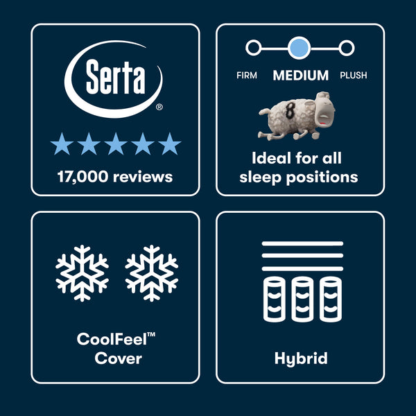 Beautyrest Comfort Level Chart