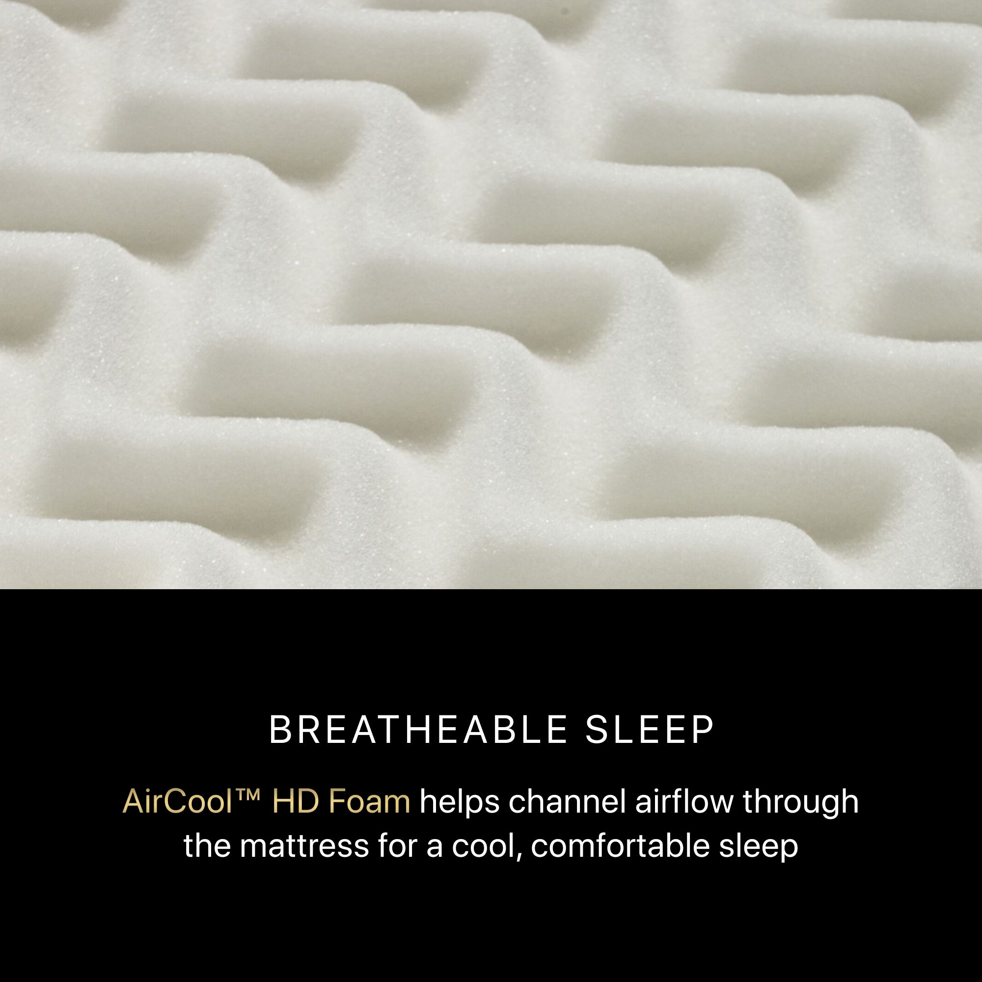 Beautyrest Black® Series Two 15.5" Medium Mattress