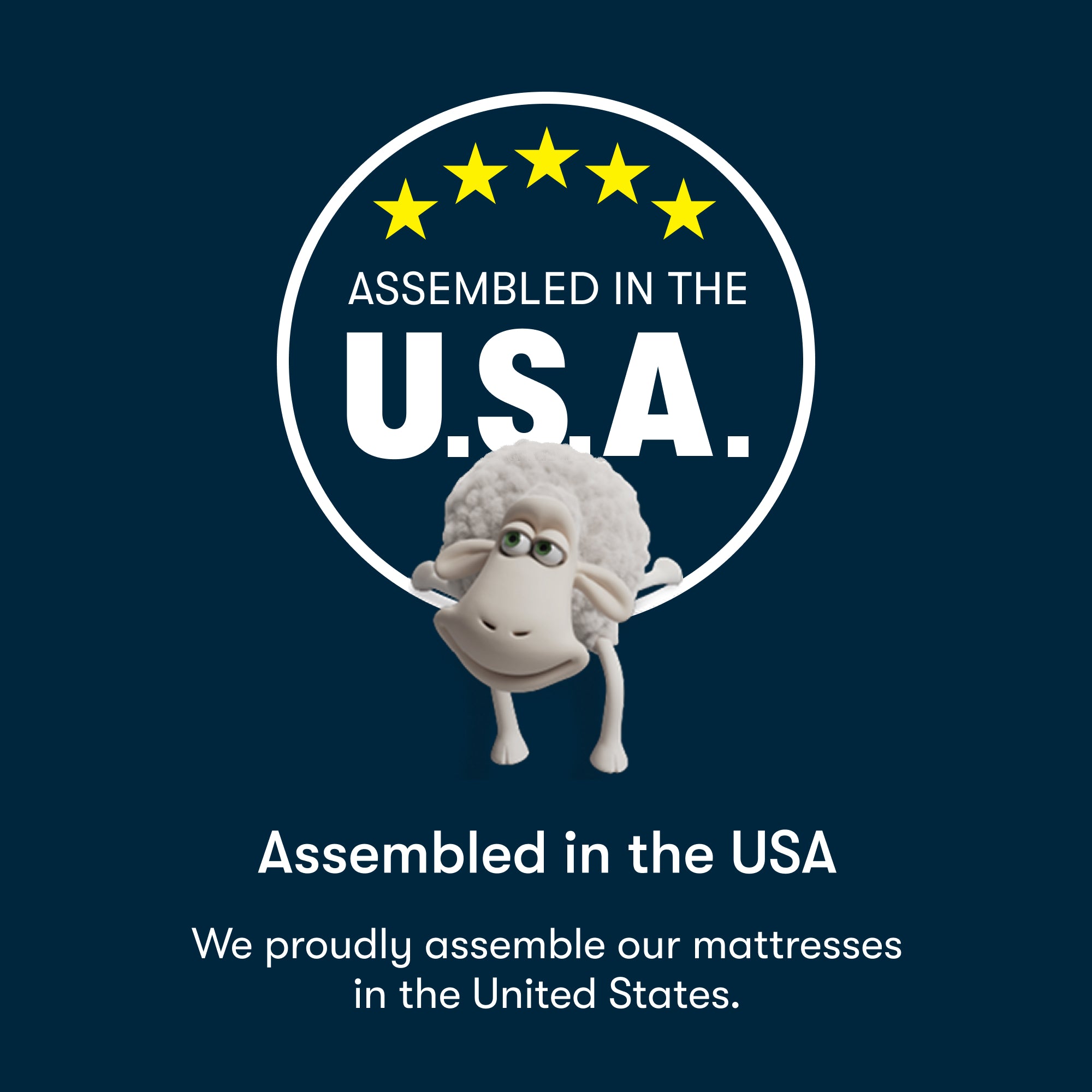 Serta Perfect Day 12" Plush Pillow Top Mattress in a Box