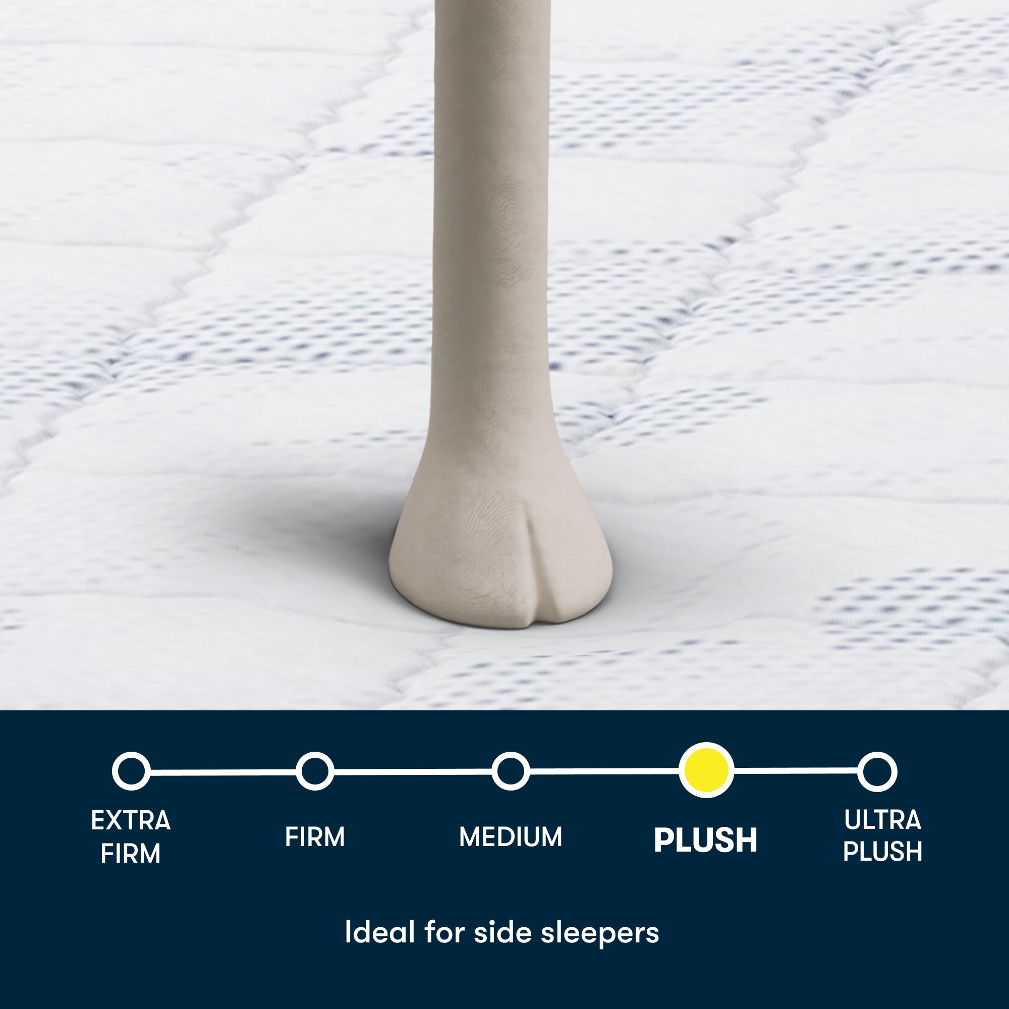 Serta Perfect Day 10" Plush Pillow Top Mattress in a Box
