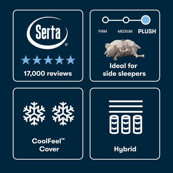 Beautyrest Comfort Level Chart